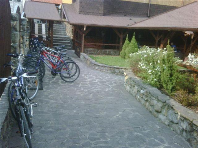 Penzion U Holuba Hradčovice Extérieur photo